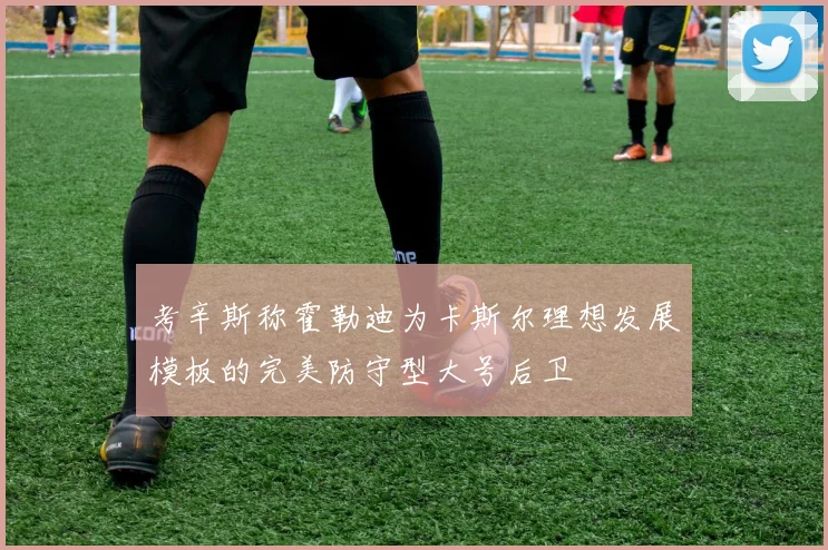 考辛斯称霍勒迪为卡斯尔理想发展模板的完美防守型大号后卫